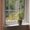Scandinavian window with a fig design by henriko