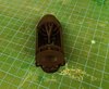 Reverse Engineering of a Garden Hose Connector and 3D Printing design by muhammedkbala