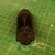 Reverse Engineering of a Garden Hose Connector and 3D Printing