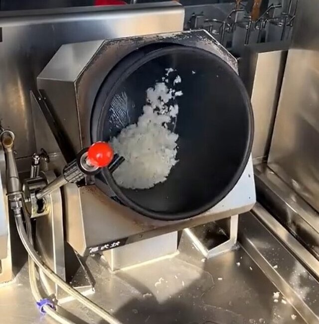 3D model of FriedRice Pro-Master
