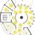 Book Park — Architectural Planning